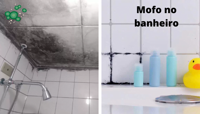 Mofo no banheiro dicas de como eliminar o mofo