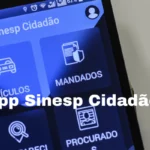 App Sinesp Cidadão